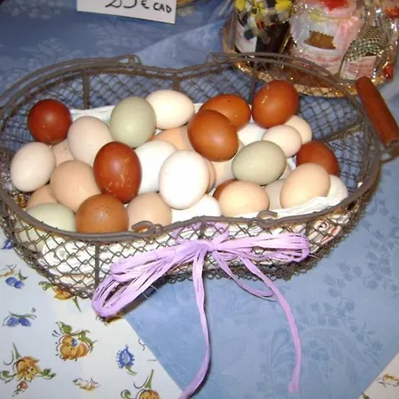 Cascina Beneficio Séjour à la ferme Castelnuovo Bormida