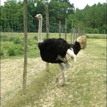 Cascina Beneficio Séjour à la ferme