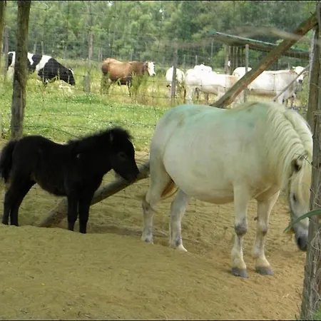 Alloggio per agriturismo Cascina Beneficio *