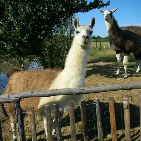 Cascina Beneficio Castelnuovo Bormida
