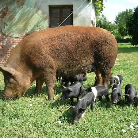 Cascina Beneficio Castelnuovo Bormida